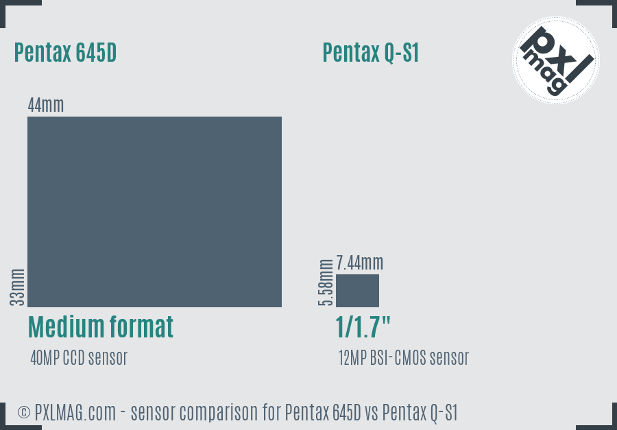 Pentax 645D vs Pentax Q-S1 sensor size comparison
