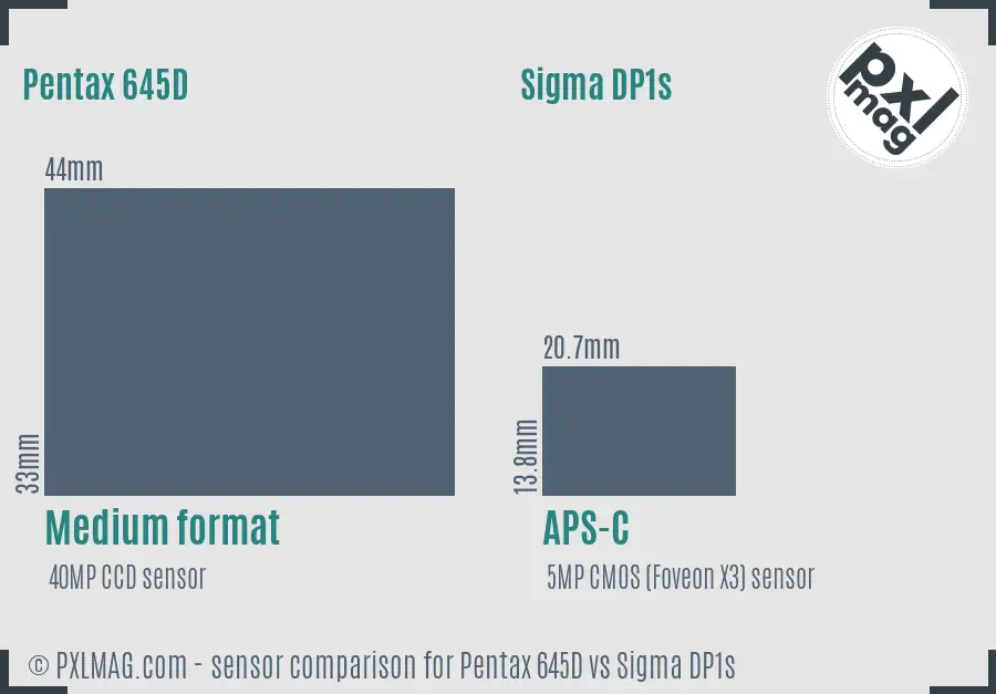 Pentax 645D vs Sigma DP1s sensor size comparison