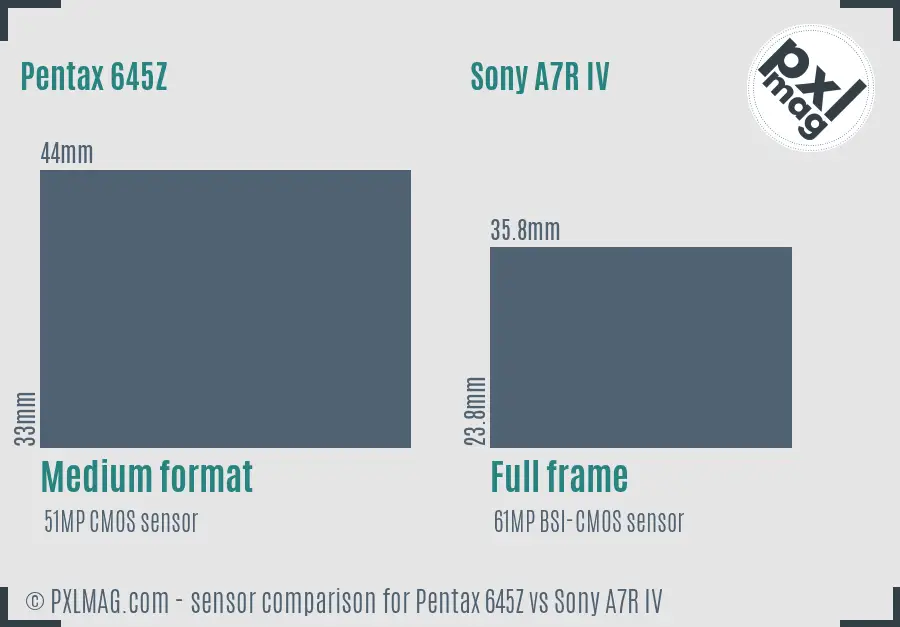 Pentax 645Z vs Sony A7R IV sensor size comparison