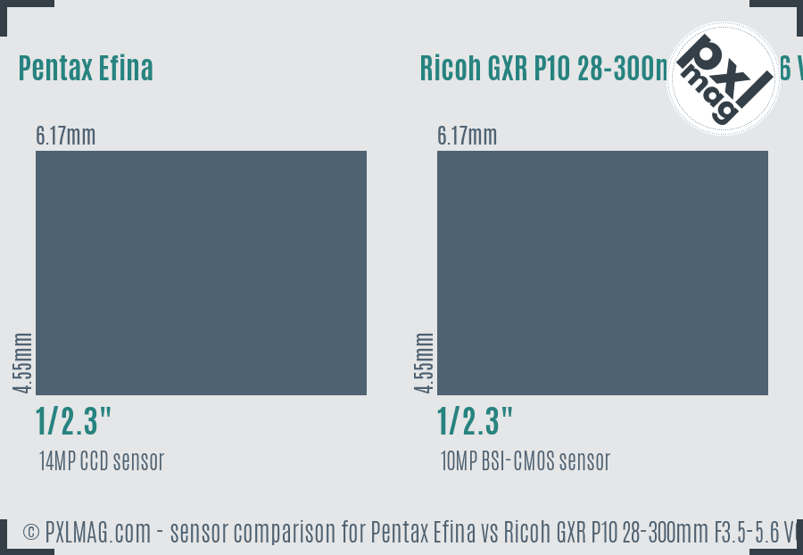 Pentax Efina vs Ricoh GXR P10 28-300mm F3.5-5.6 VC sensor size comparison