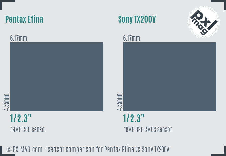 Pentax Efina vs Sony TX200V sensor size comparison