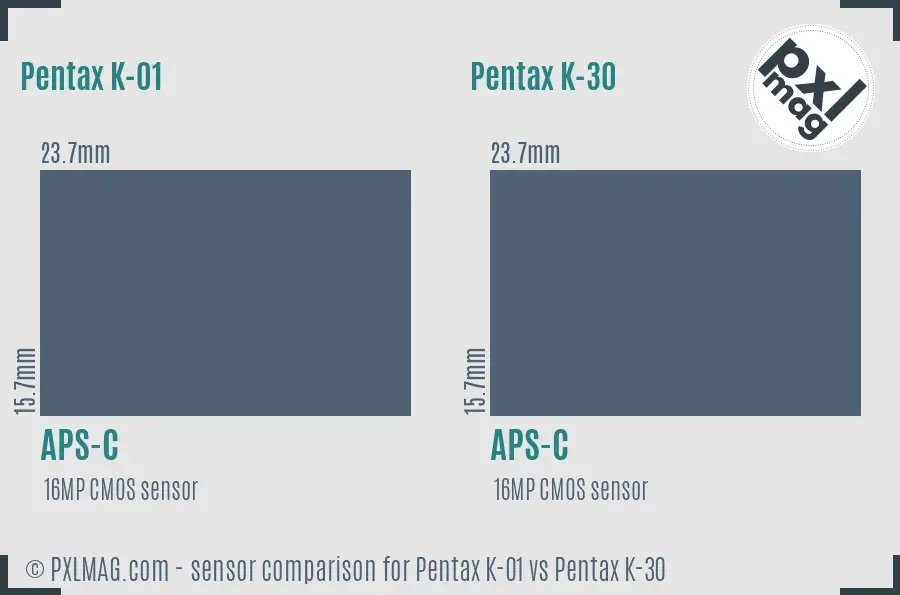 Pentax K-01 vs Pentax K-30 sensor size comparison