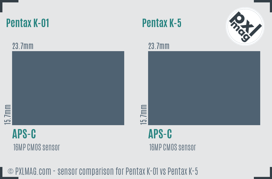 Pentax K-01 vs Pentax K-5 sensor size comparison