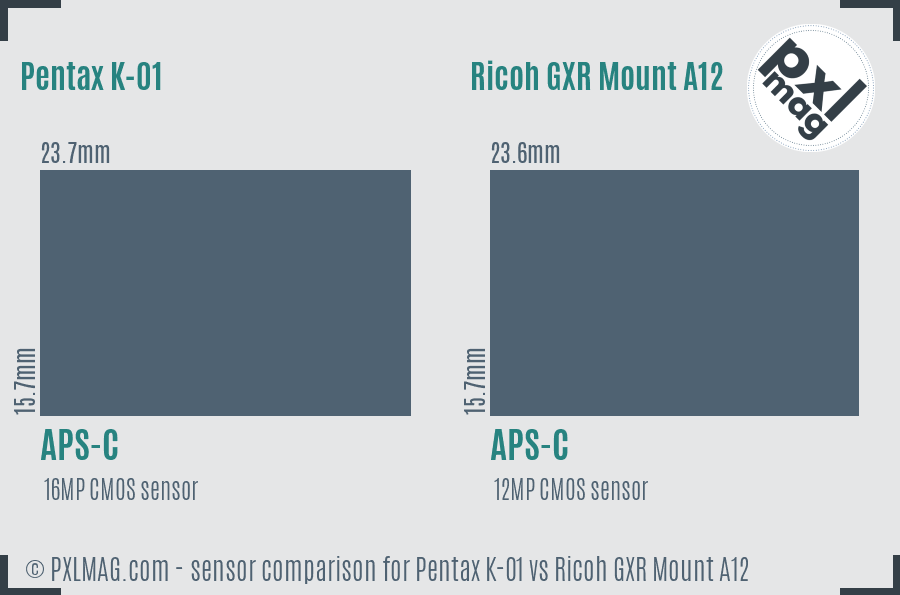 Pentax K-01 vs Ricoh GXR Mount A12 sensor size comparison