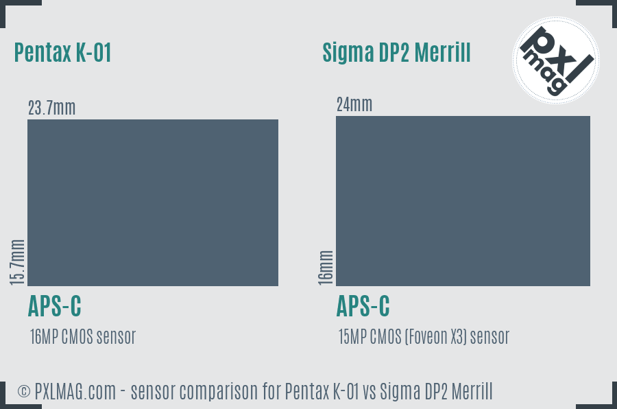 Pentax K-01 vs Sigma DP2 Merrill sensor size comparison