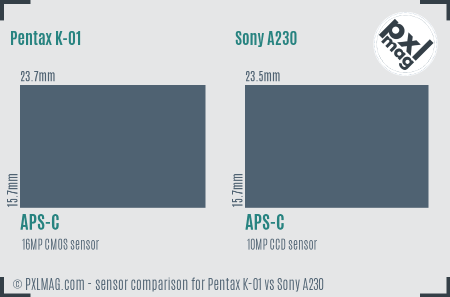 Pentax K-01 vs Sony A230 sensor size comparison