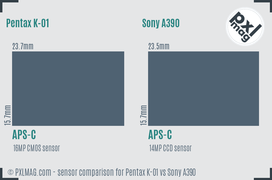 Pentax K-01 vs Sony A390 sensor size comparison