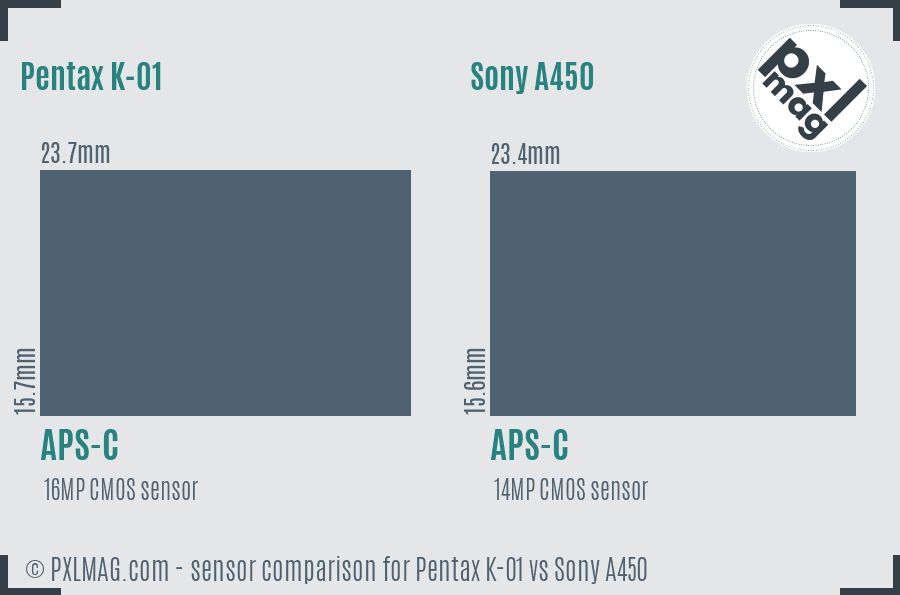 Pentax K-01 vs Sony A450 sensor size comparison