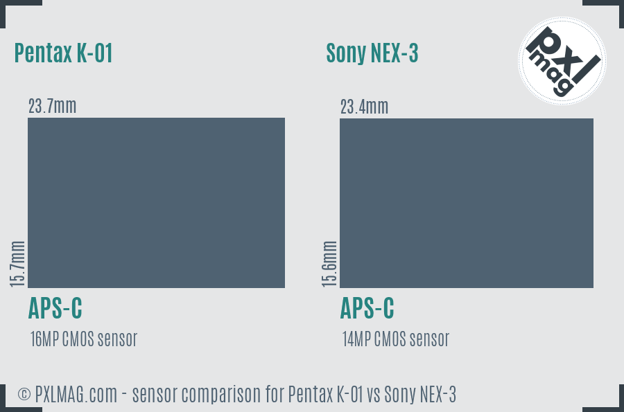 Pentax K-01 vs Sony NEX-3 sensor size comparison
