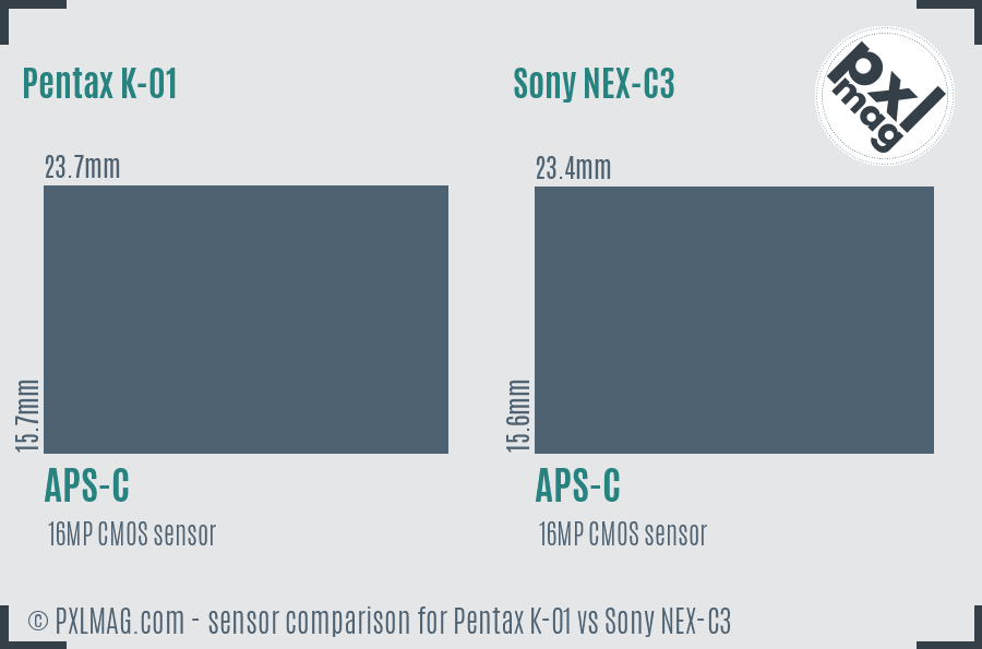 Pentax K-01 vs Sony NEX-C3 sensor size comparison