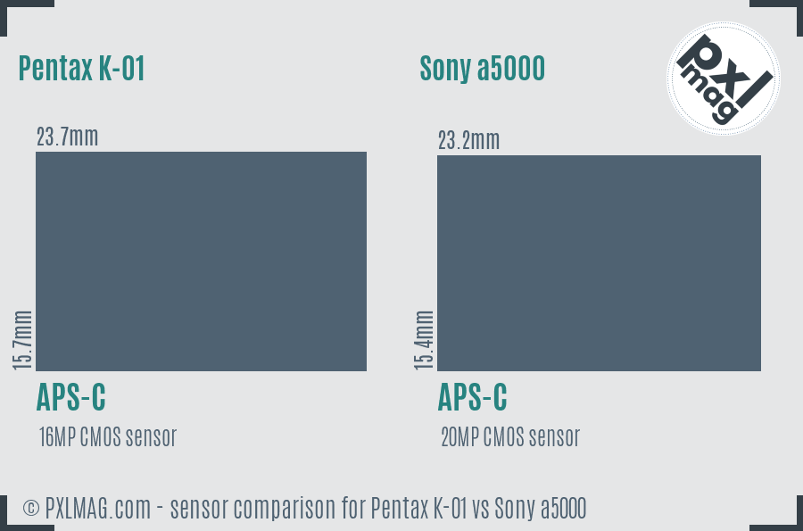 Pentax K-01 vs Sony a5000 sensor size comparison