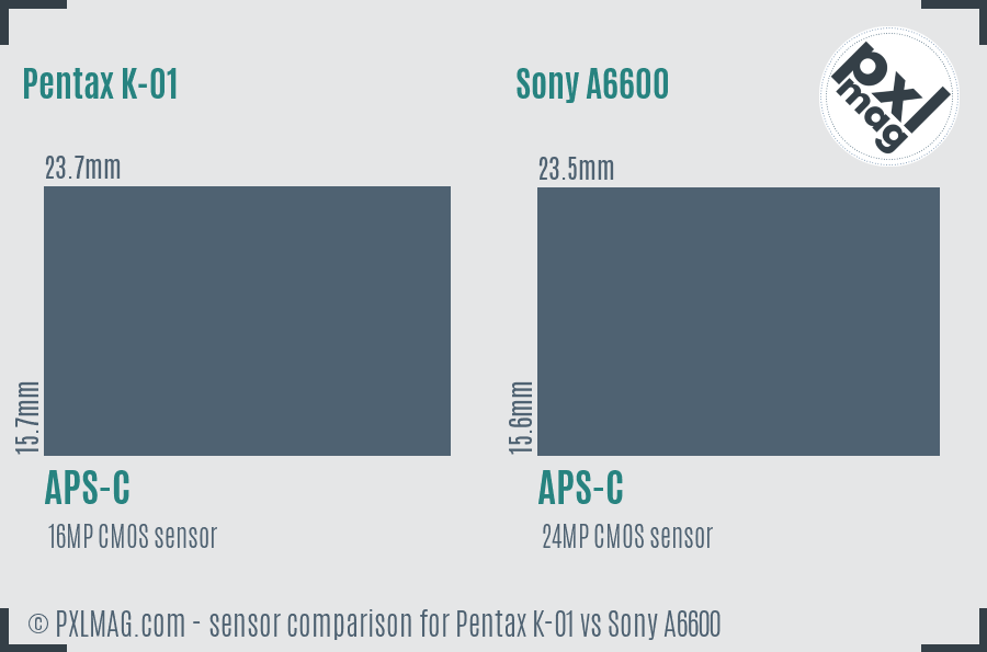 Pentax K-01 vs Sony A6600 sensor size comparison Pentax K-01 vs Sony A6600 sensor size comparison