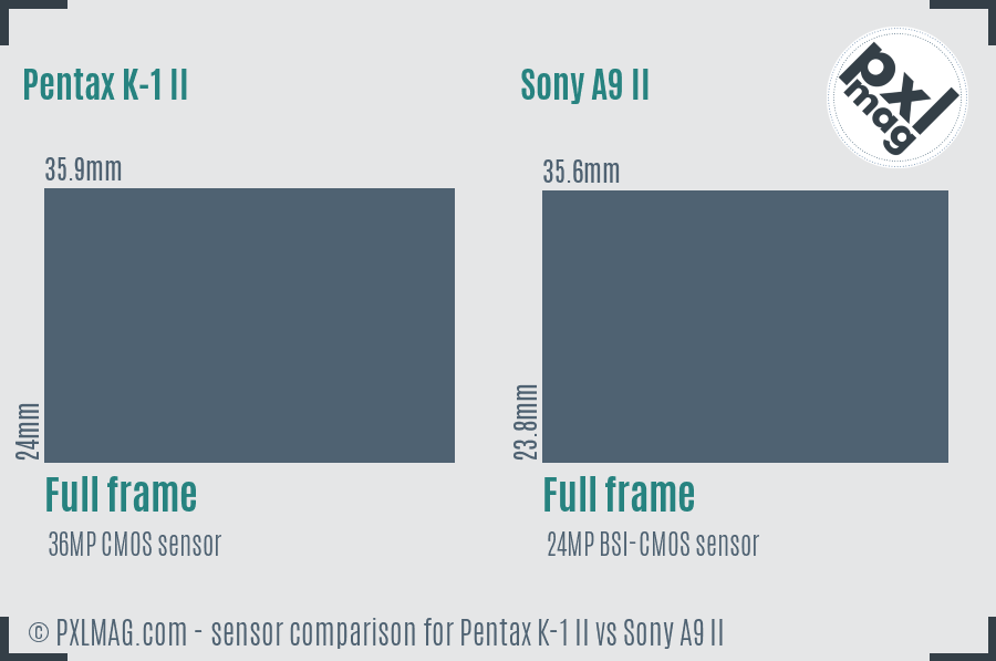 Pentax K-1 II vs Sony A9 II sensor size comparison