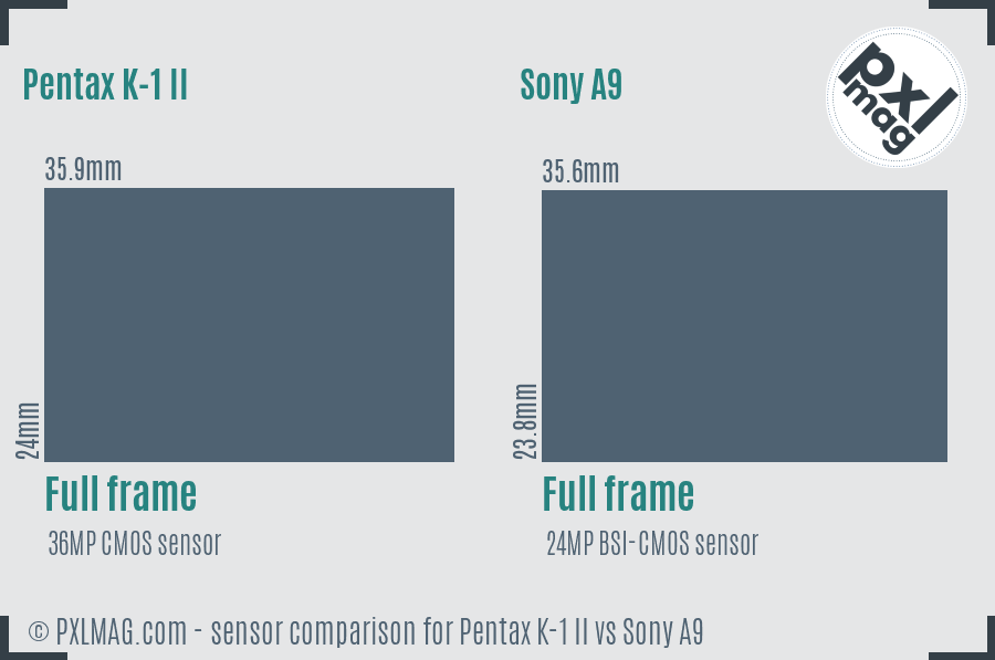 Pentax K-1 II vs Sony A9 sensor size comparison