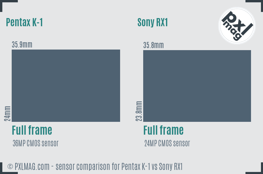 Pentax K-1 vs Sony RX1 sensor size comparison