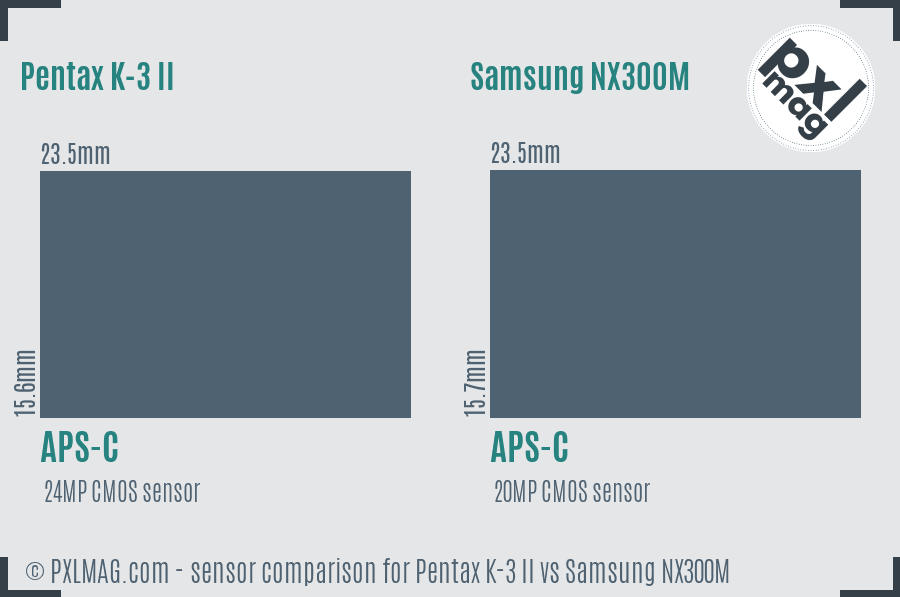 Pentax K-3 II vs Samsung NX300M sensor size comparison