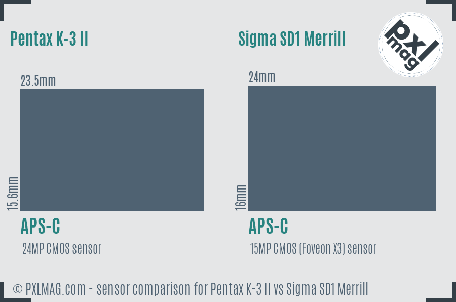 Pentax K-3 II vs Sigma SD1 Merrill sensor size comparison