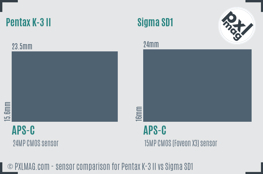 Pentax K-3 II vs Sigma SD1 sensor size comparison