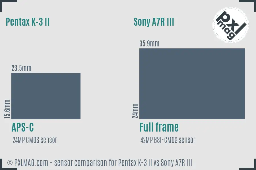 Pentax K-3 II vs Sony A7R III sensor size comparison Pentax K-3 II vs Sony A7R III sensor size comparison