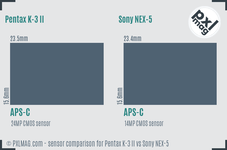 Pentax K-3 II vs Sony NEX-5 sensor size comparison Pentax K-3 II vs Sony NEX-5 sensor size comparison