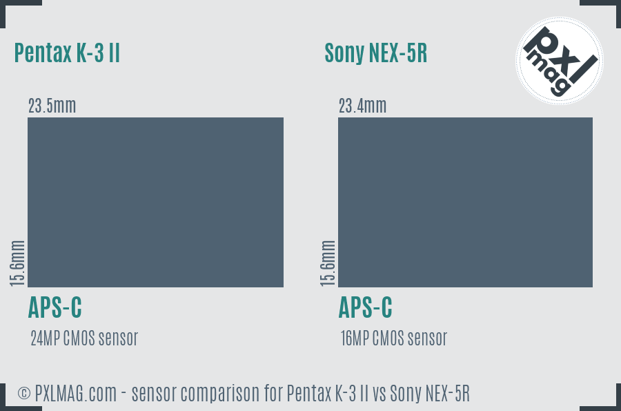 Pentax K-3 II vs Sony NEX-5R sensor size comparison