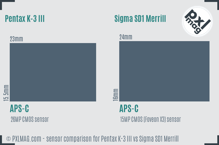 Pentax K-3 III vs Sigma SD1 Merrill sensor size comparison