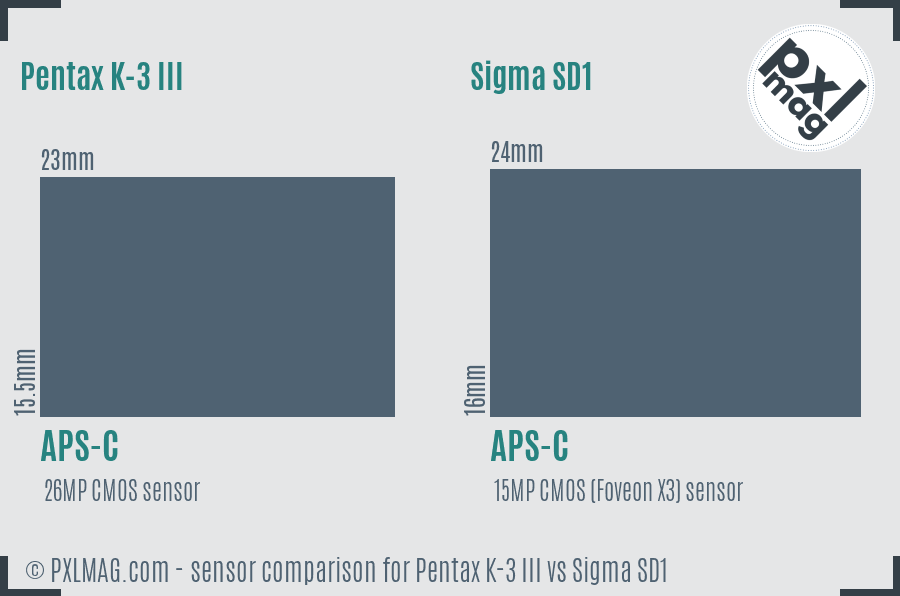 Pentax K-3 III vs Sigma SD1 sensor size comparison