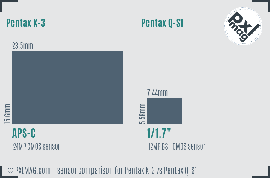 Pentax K-3 vs Pentax Q-S1 sensor size comparison