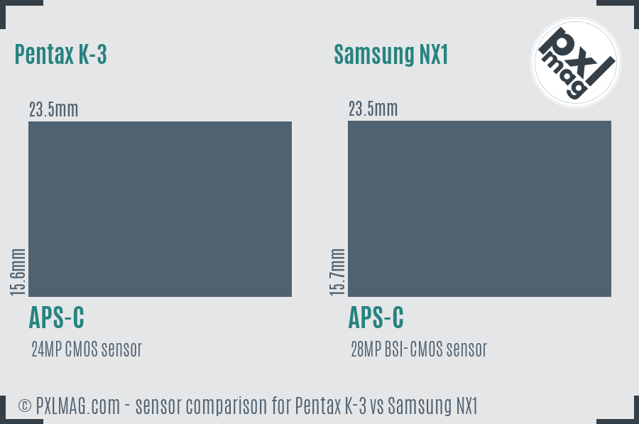 Pentax K-3 vs Samsung NX1 sensor size comparison