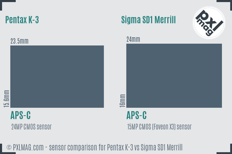 Pentax K-3 vs Sigma SD1 Merrill sensor size comparison