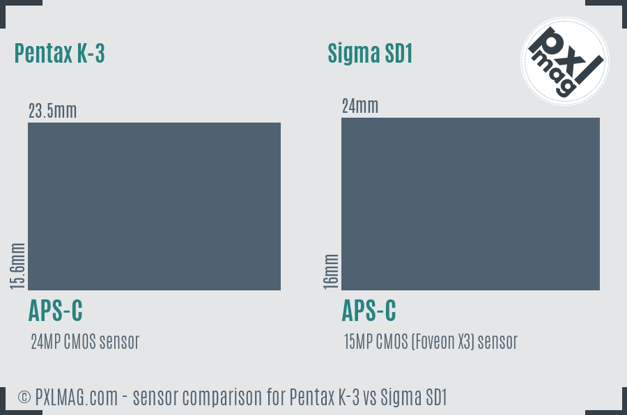 Pentax K-3 vs Sigma SD1 sensor size comparison