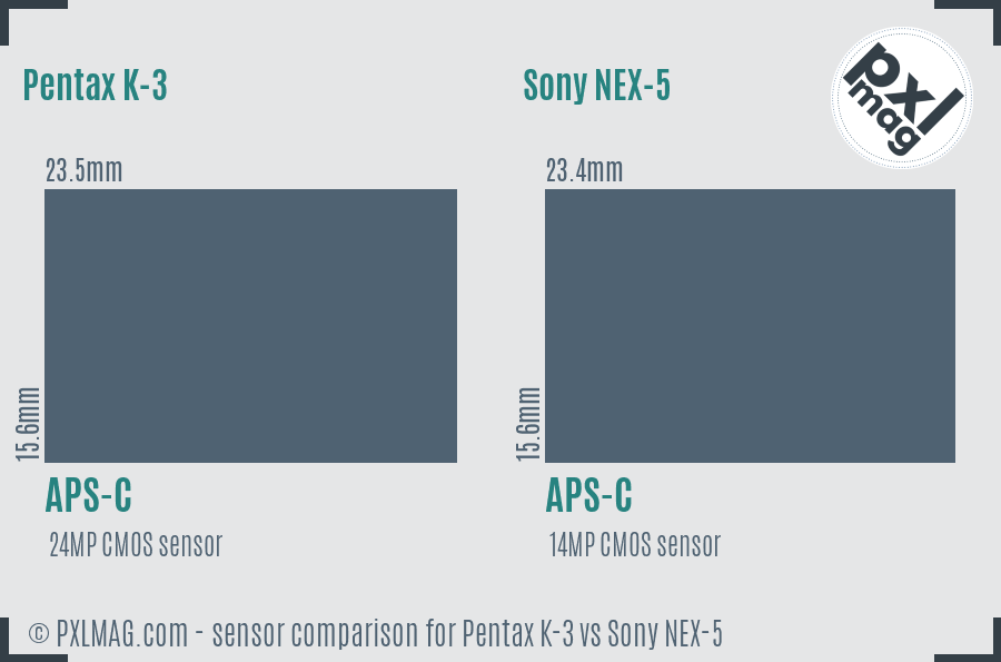 Pentax K-3 vs Sony NEX-5 sensor size comparison