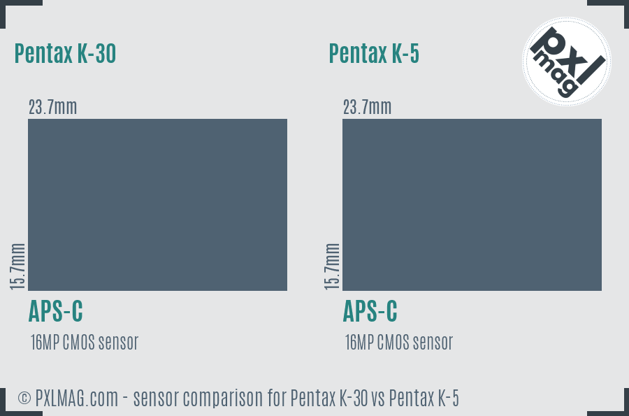 Pentax K-30 vs Pentax K-5 sensor size comparison