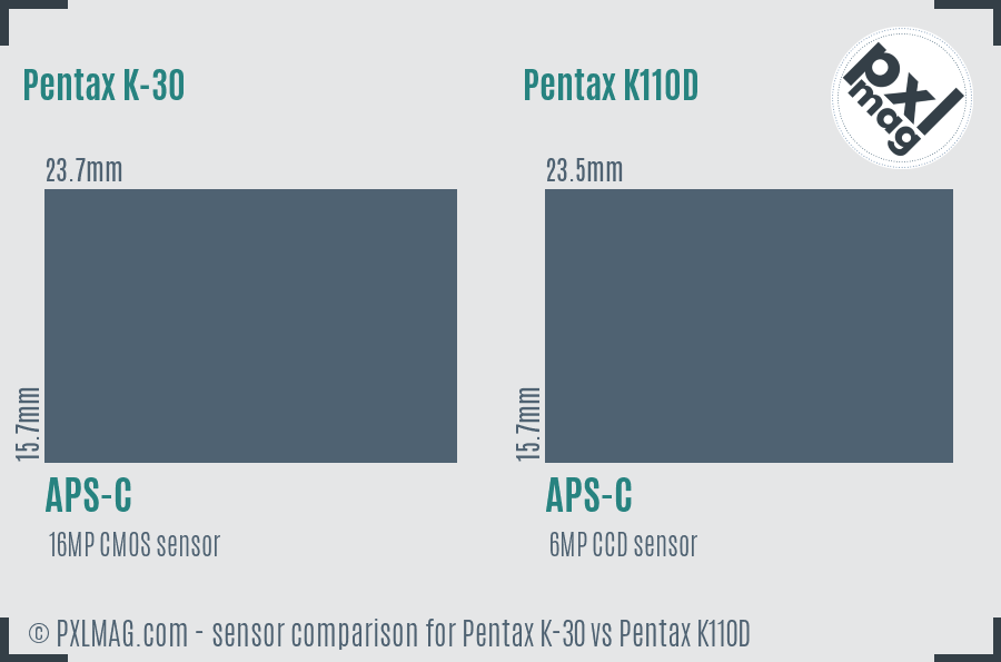 Pentax K-30 vs Pentax K110D sensor size comparison