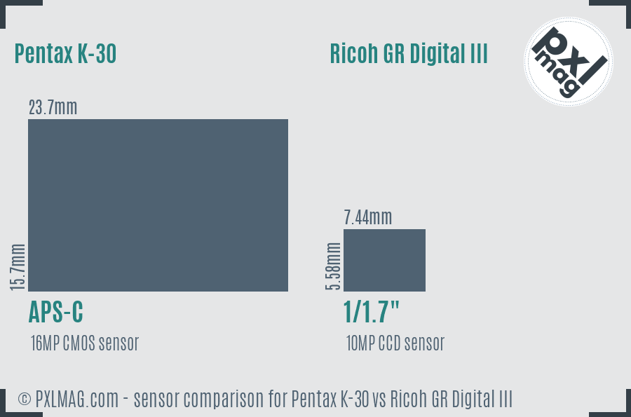 Pentax K-30 vs Ricoh GR Digital III sensor size comparison