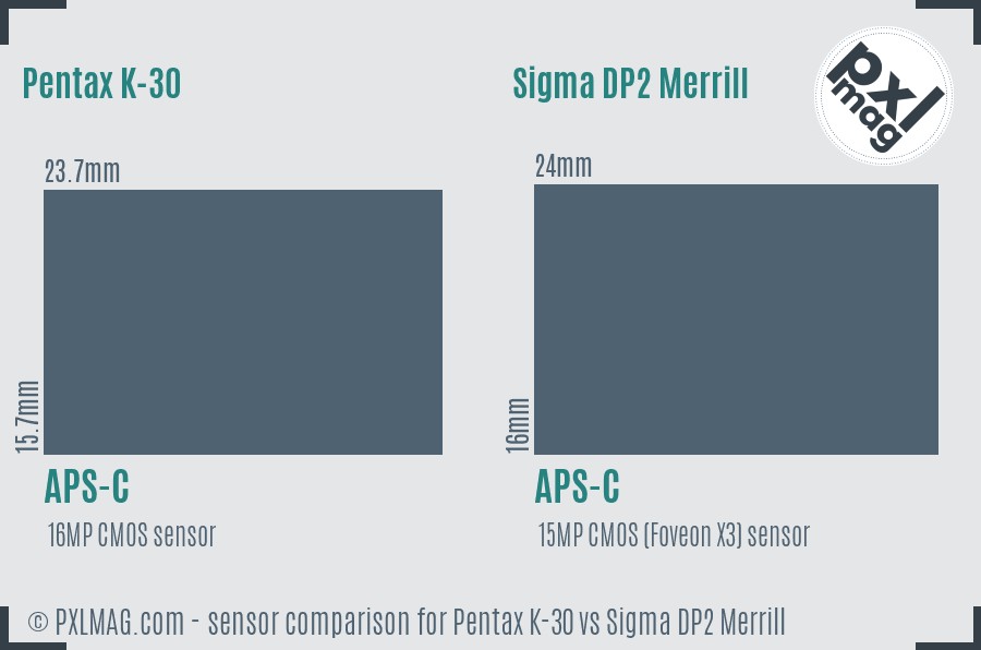Pentax K-30 vs Sigma DP2 Merrill sensor size comparison