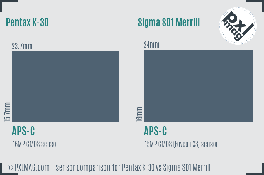 Pentax K-30 vs Sigma SD1 Merrill sensor size comparison