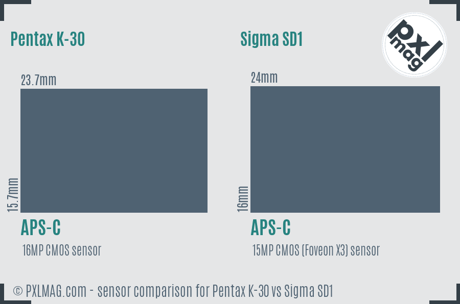 Pentax K-30 vs Sigma SD1 sensor size comparison