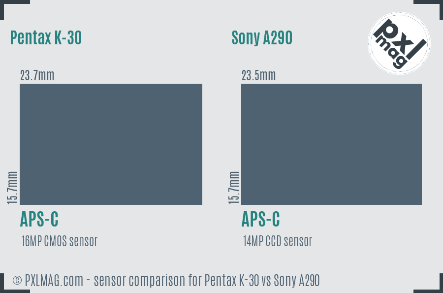 Pentax K-30 vs Sony A290 sensor size comparison