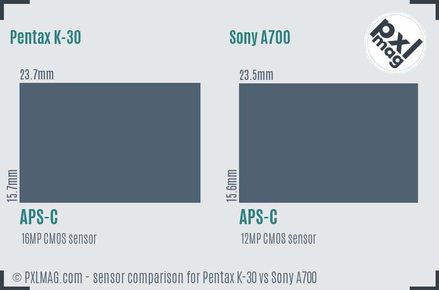 Pentax K-30 vs Sony A700 sensor size comparison