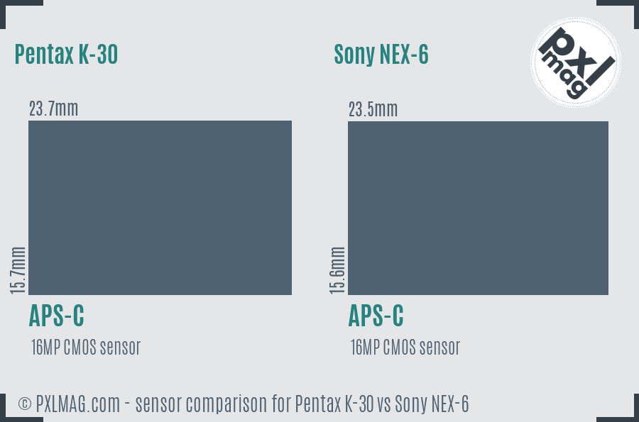 Pentax K-30 vs Sony NEX-6 sensor size comparison Pentax K-30 vs Sony NEX-6 sensor size comparison