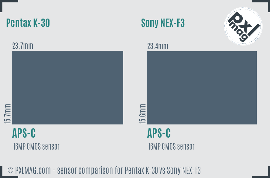 Pentax K-30 vs Sony NEX-F3 sensor size comparison