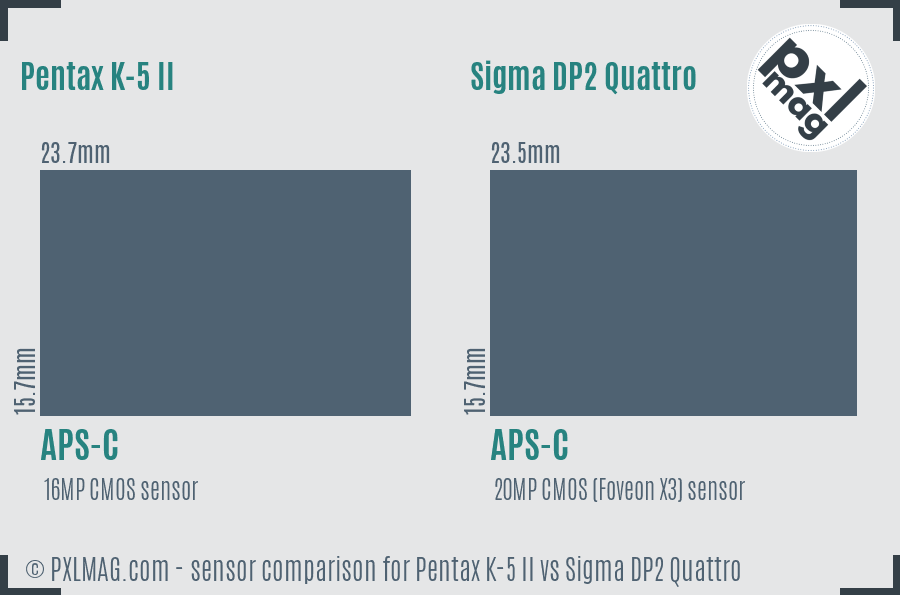 Pentax K-5 II vs Sigma DP2 Quattro sensor size comparison Pentax K-5 II vs Sigma DP2 Quattro sensor size comparison