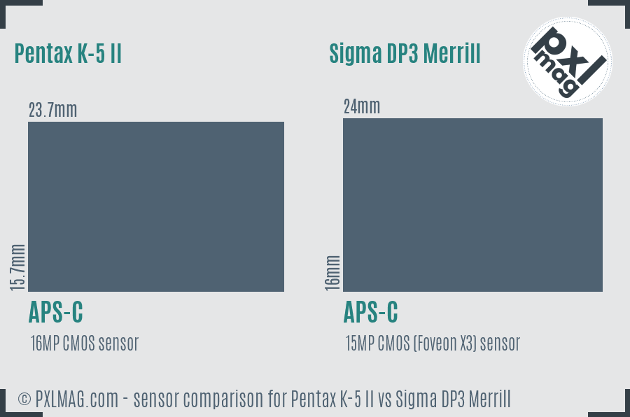 Pentax K-5 II vs Sigma DP3 Merrill sensor size comparison