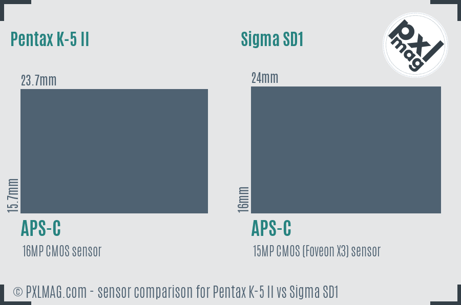 Pentax K-5 II vs Sigma SD1 sensor size comparison