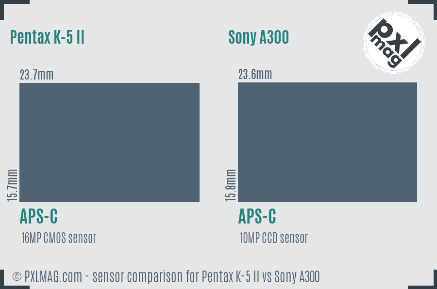 Pentax K-5 II vs Sony A300 sensor size comparison