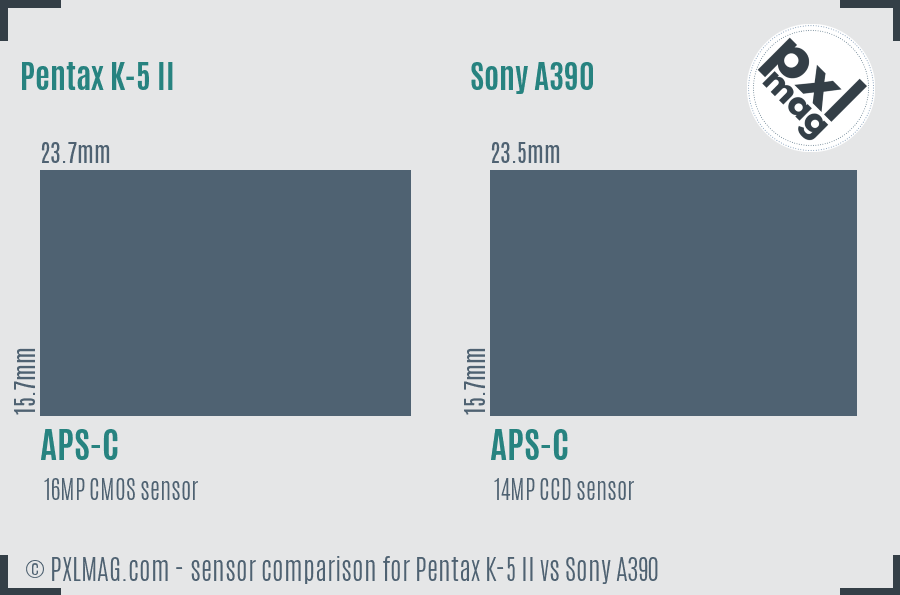 Pentax K-5 II vs Sony A390 sensor size comparison