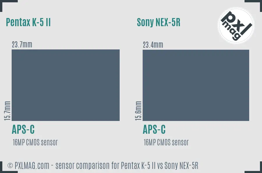 Pentax K-5 II vs Sony NEX-5R sensor size comparison
