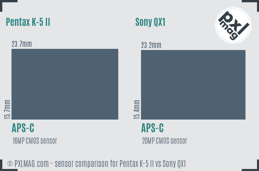 Pentax K-5 II vs Sony QX1 sensor size comparison