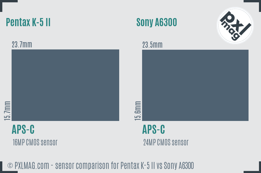 Pentax K-5 II vs Sony A6300 sensor size comparison